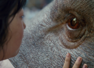 Veja o teaser de “Okja”, filme original Netflix de Bong Joon Ho