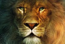 Diretor de Capitão América entra para equipe de As Crônicas de Nárnia: A Cadeira de Prata