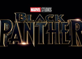 Marvel divulga sinopse do filme solo do “Pantera Negra”