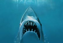 Crítica: Tubarão (1975) Crítica: Tubarão