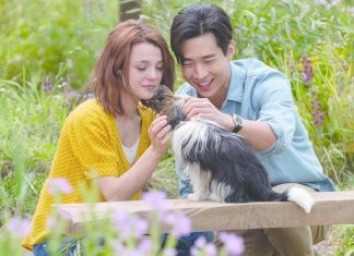 Crítica: Juntos Para Sempre Crítica: Juntos Para Sempre