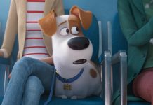 Crítica: Pets: A Vida Secreta dos Bichos 2 Crítica: Pets: A Vida Secreta dos Bichos 2