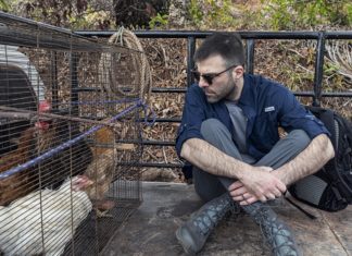 Brie Larson e Cara Delevingne participam de “Celebridades à Prova de Tudo”