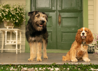 Disney+ chega ao Brasil no dia 17 de Novembro