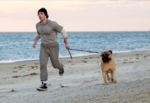 Diamond Films divulga novo pôster de “Eu Sou o Rocky”